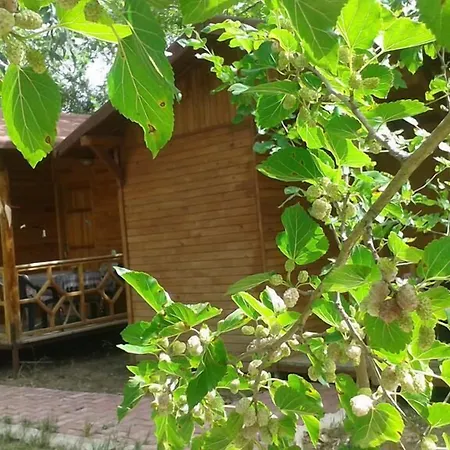 Hotel Fire Çıralı