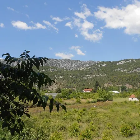 Fire Çıralı