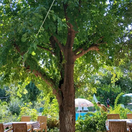 Fire Hotel Çıralı