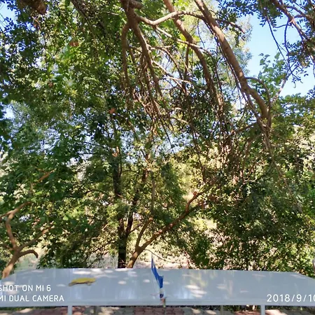 Fire Hotel Çıralı