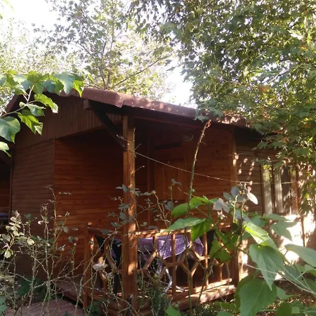 Fire Hotel