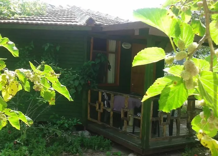 Fire מלון Çıralı