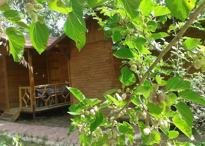 מלון Fire Çıralı