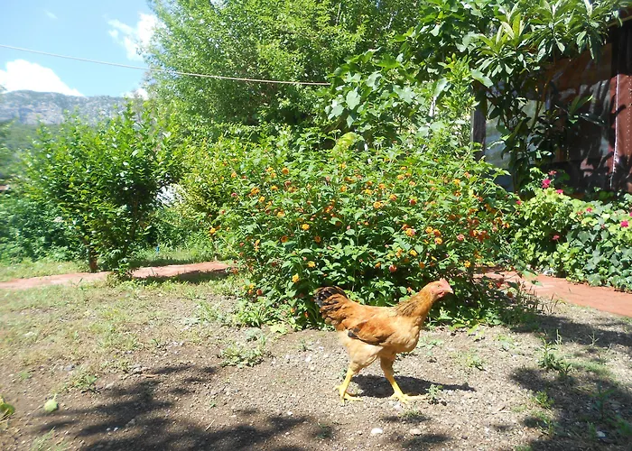 Fire מלון Çıralı