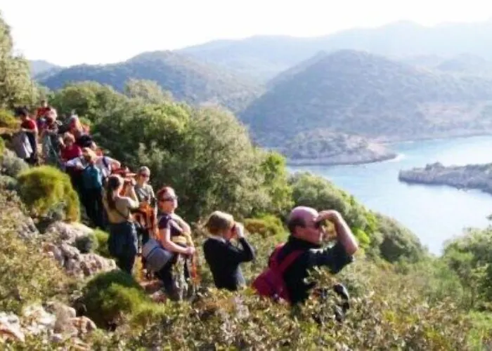 מלון Fire Çıralı