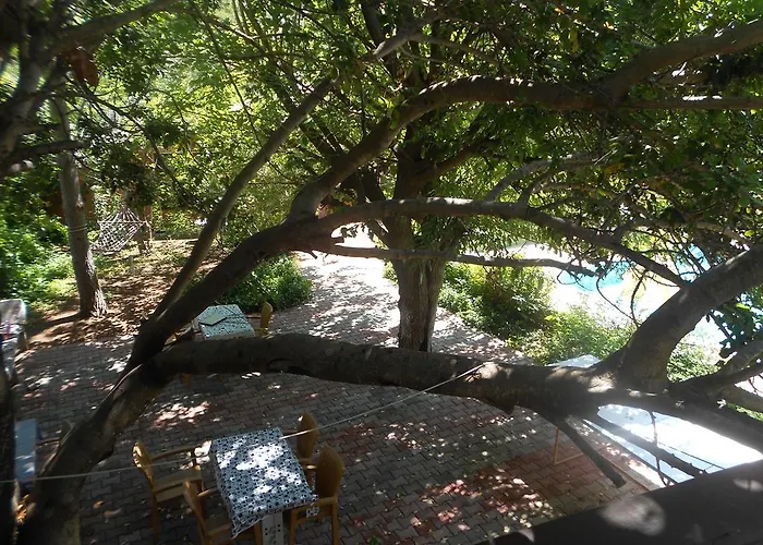 מלון Fire Çıralı