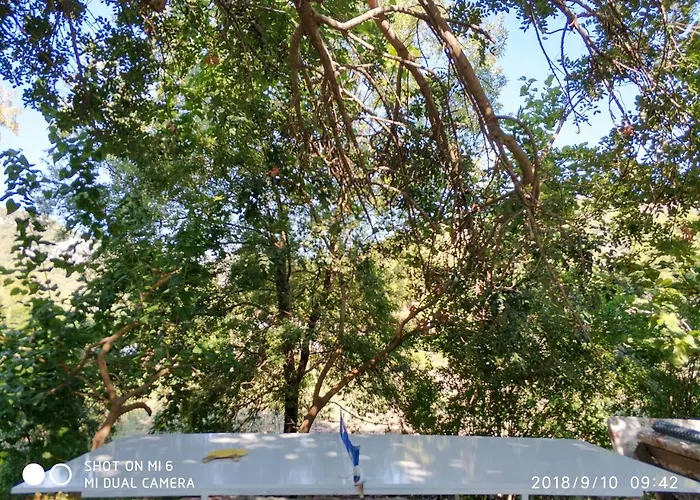 Fire מלון Çıralı